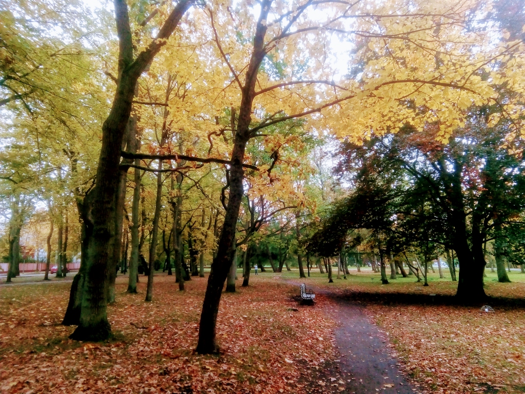 Autors: Uldis Dobelis