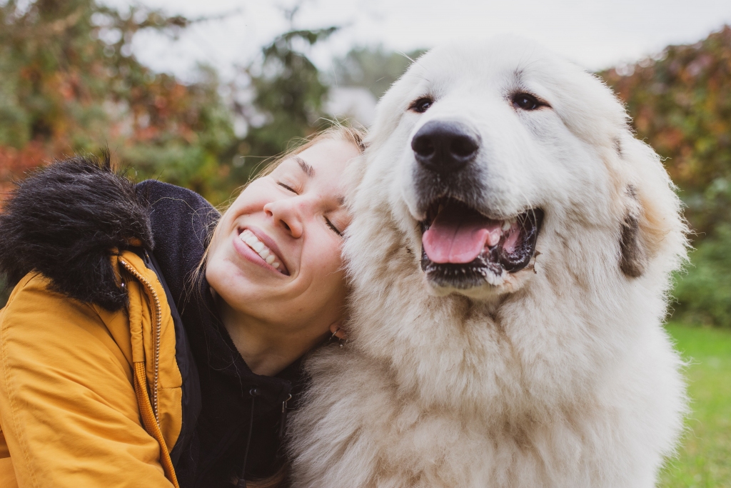 Autors: Publicitātes foto