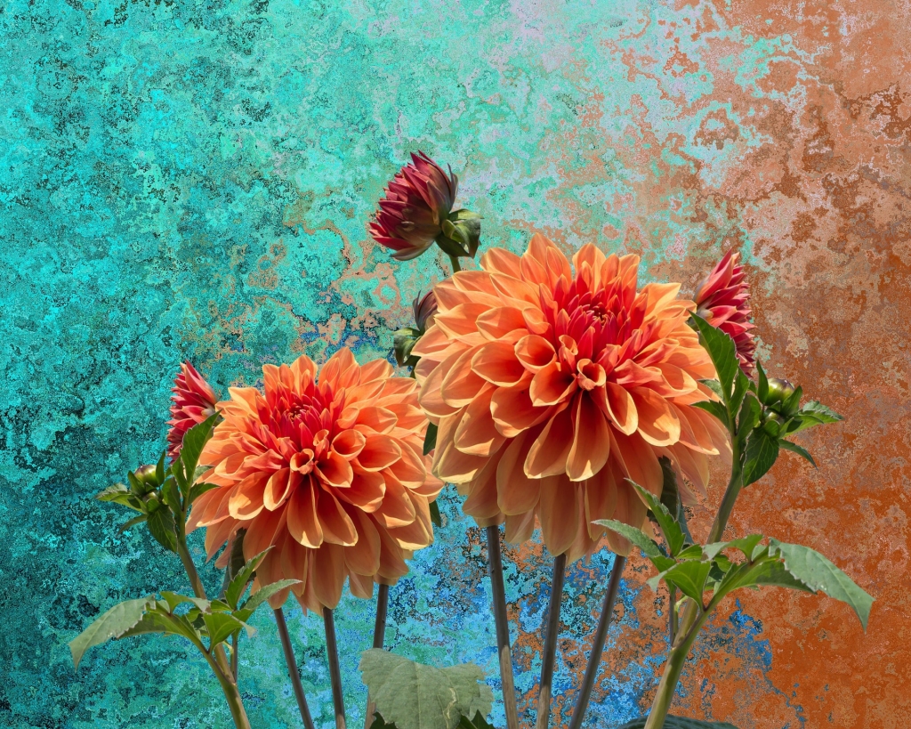 Autors: Pixabay