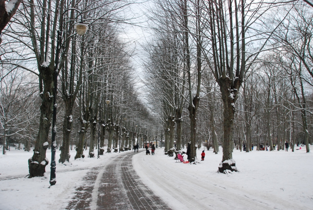 Autors: Uldis Dobelis