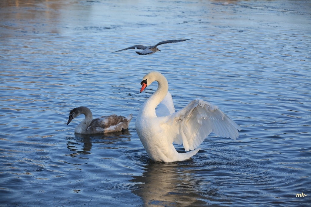 Ilustratīvs foto.
Autors: Modris Helds