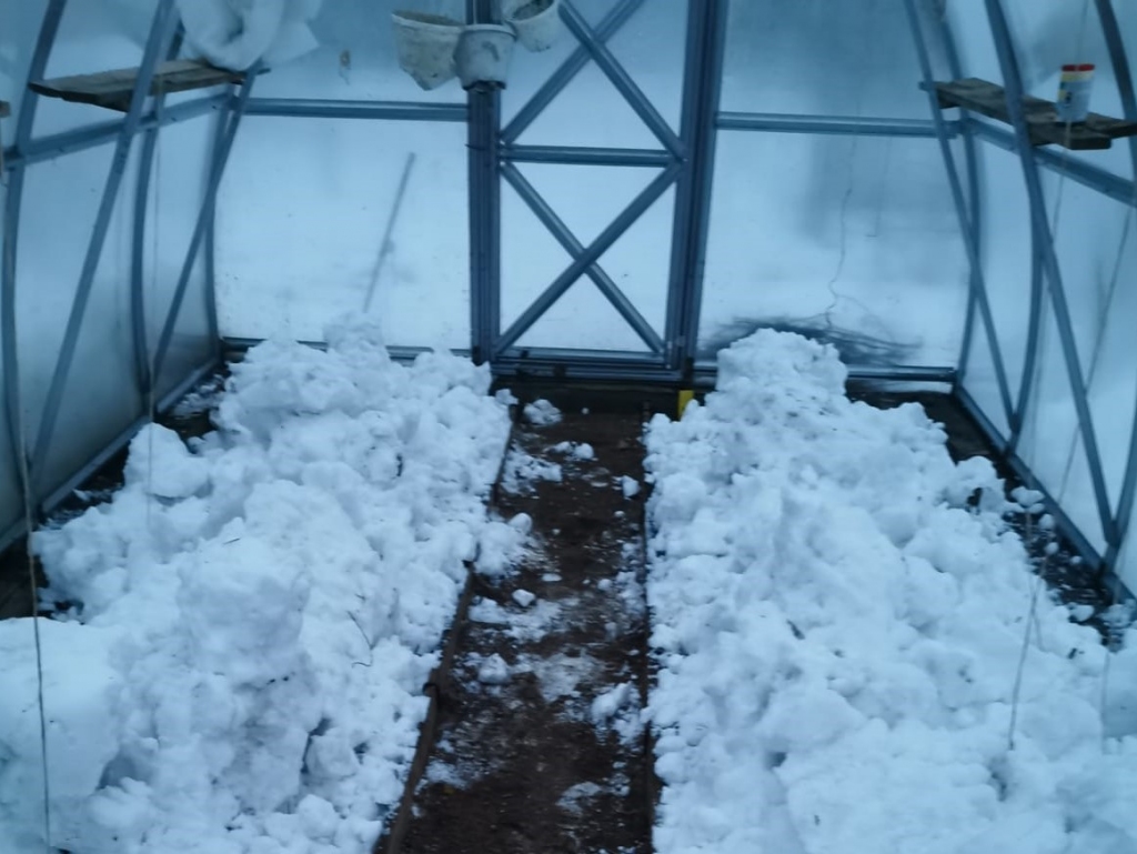 Autors: Ilona Dzīle