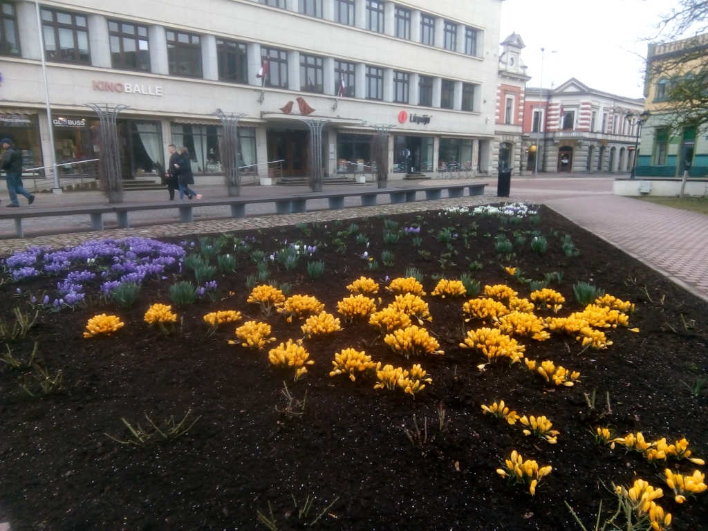 Autors: Uldis Dobelis