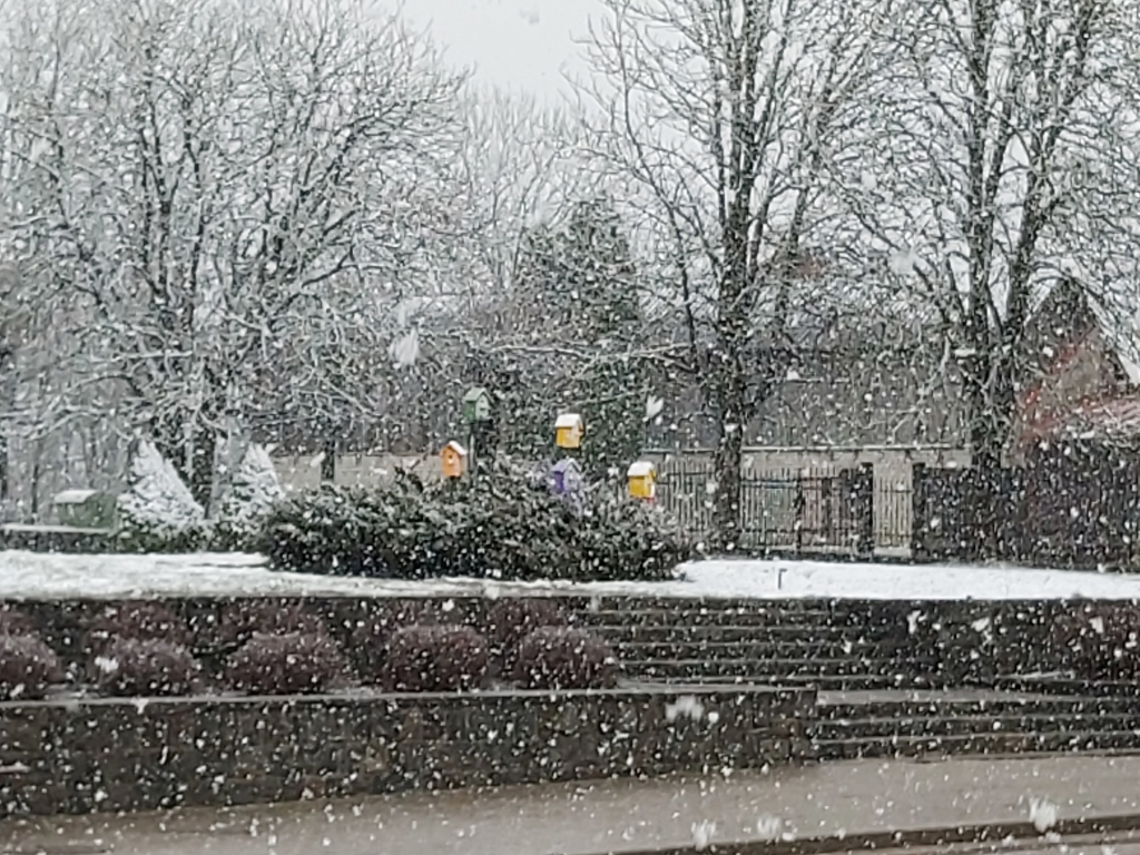 Autors: Linda Liepiņa