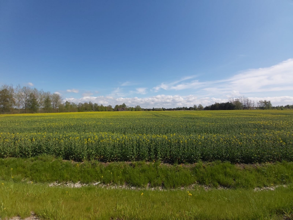 Autors: Linda Liepiņa