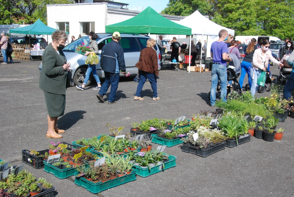 Autors: Uldis Dobelis