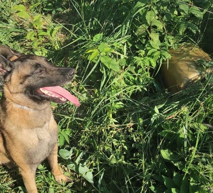 Marko pie atrastās degvielas kannas Dubeņos!
Autors: Valsts policija