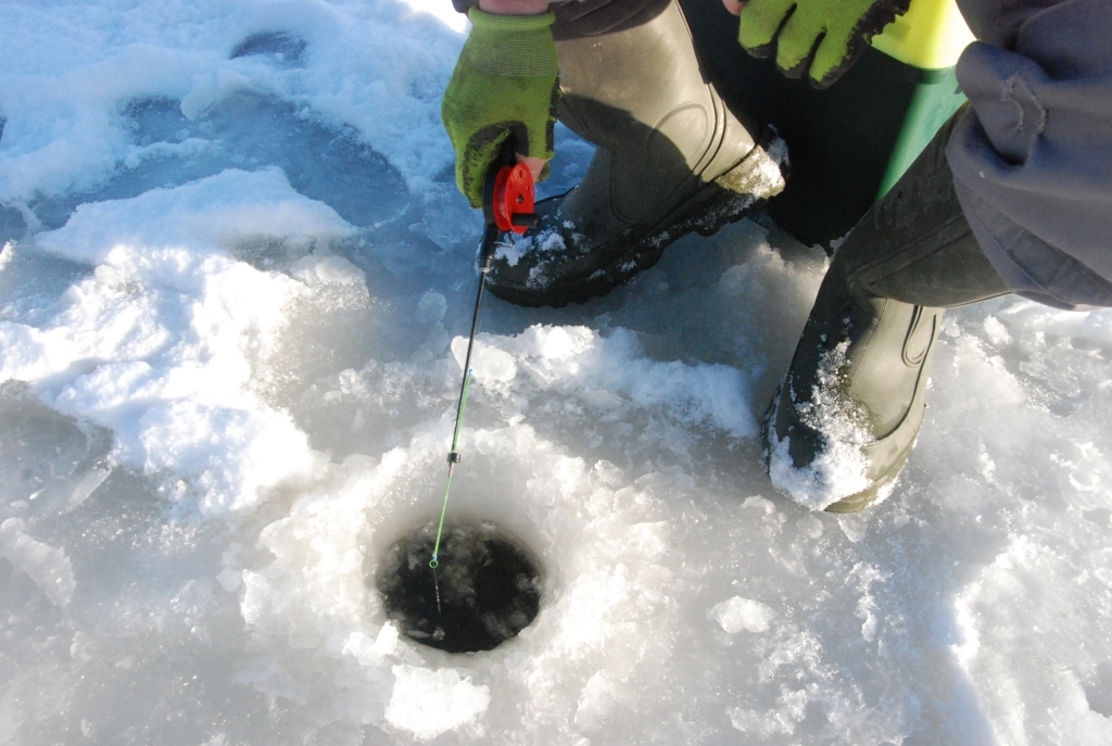 Autors: Uldis Dobelis