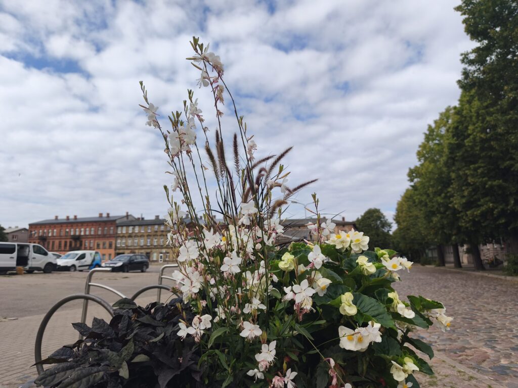 Aluksniesiem.lv raksta attēla aizvietotājs