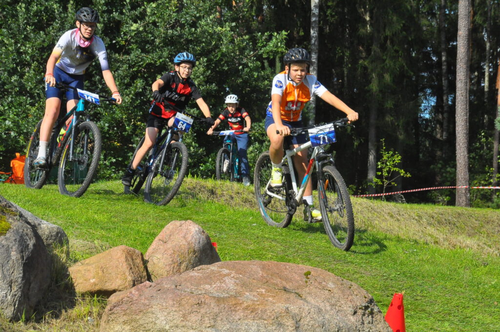 Aluksniesiem.lv raksta attēla aizvietotājs