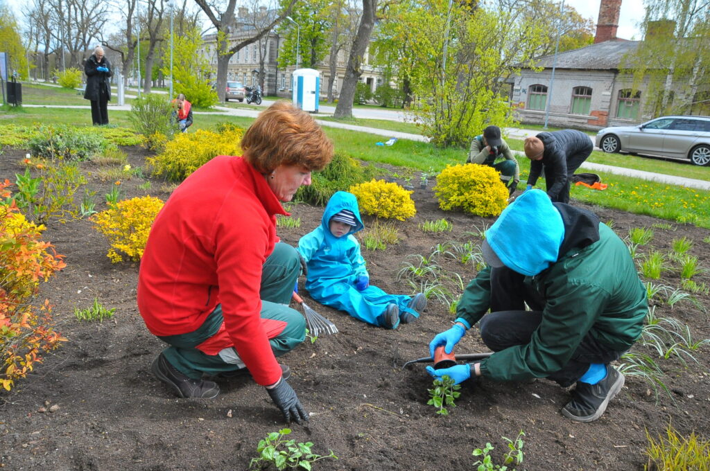 Aluksniesiem.lv raksta attēla aizvietotājs