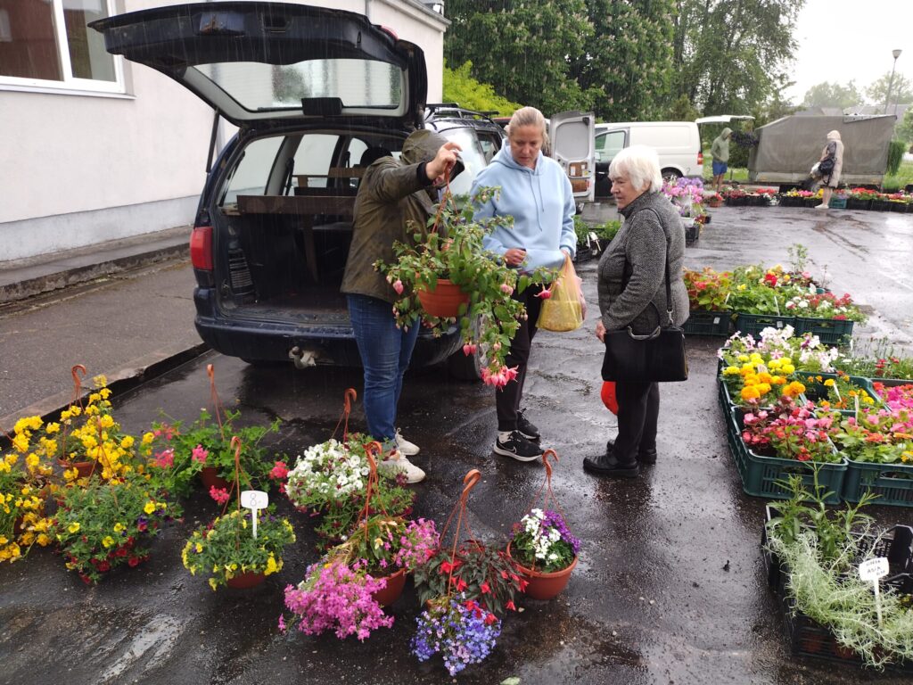 Aluksniesiem.lv raksta attēla aizvietotājs