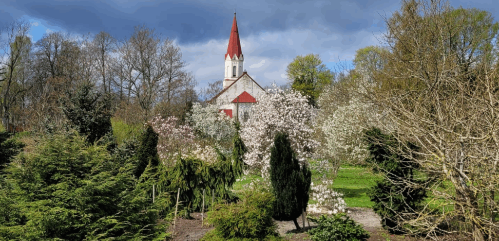 Aluksniesiem.lv raksta attēla aizvietotājs