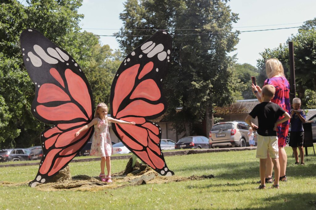 Aluksniesiem.lv raksta attēla aizvietotājs